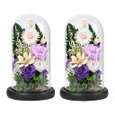 プリザーブドフラワー お供え花 仏花 仏壇用 お悔み 生花 薔薇 菊花 カーネーション ブリザードフラワー お供え ガラスドーム プレゼント ペット仏花 花 お盆 御供え 枕花 お墓参り 仏壇花 仏花 喪中はがき 喪中お見舞い ローズ ledライト付