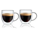 ダブルウォール グラス 二重構造 耐熱 カップ 保温 保冷 タンブラー 取っ手付 2個セット (250ml(マグ))