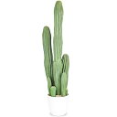 人工観葉植物 サボテン フェイクグリーン 78CM 造花 観葉樹 光触媒 空気清浄 インテリア 飾り 世話いらず 水やり不要 オフィス ホーム デコレーション