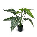 フェイクグリーン 人工観葉植物 アロカシア リアルな朝露付き リアル露水効果 光触媒 消臭 空気清浄 モンステラ 観葉樹 卓上 中型 造花 高さ50cm 屋内 オフィス 鉢植え お祝い用 植木 人工