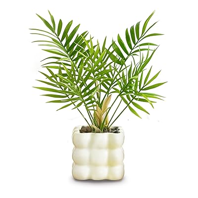 光触媒 フェイクグリーン ミニ観葉植物 熱帯観葉植物 チャバヤシセラミック材質角型鉢 造花 観葉植物 フェイク 鉢付き おしゃれなインテリア雑貨 世話不要 水や...