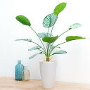 フェイクグリーン 人工観葉植物 高さ65CM 白丸ポット 鉢付き おしゃれ 造花 インテリア 雑貨 消臭 抗菌効果 世話いらず 水やり不要 玄関 オフィス ホー...