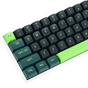 acoustic wave CSAカスタムキーキャップ、160キーダブルショットキーキャップセットはCherry/Gateron MXスイッチ60%/64/GK61ゲーミングメカニカルキーボード用