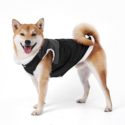    ѥ ɥå к ɴ㥸㥱å ݲ æñ Ȥ 餫 İ  淿 緿  (...