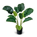 フェイクグリーン 人工観葉植物 カラテア オルビフォリア リアルな朝露付き リアル露水効果 光触媒 消臭 空気清浄 中型 モンステラ 卓上 造花 高さ60cm 屋内 オフィス 鉢植え お祝い用 観葉樹