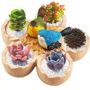 多肉植物ポット 小さなガーデンポット 排水穴付き 樹脂植物 植木鉢 ミニチュアオーナメント ホームオフィス装飾用 (鳥の巣)