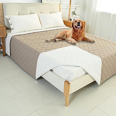 ݸ ɿ奷 ڥåξ̻ ֤Ȥ ̵ ®  ɥ ñ  ѥ к ǯ ¿ ٥ӡ ...