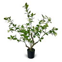 フェイクグリーン 人工観葉植物 造花 光触媒 室内 屋外対応 高さ60cm 卓上 玄関 インテリア 鉢植え 水やり不要 植木 花あり