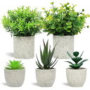 フェイクグリーン 人工観葉植物 5点セット 観葉植物フェイク 鉢植え ふぇいくぐりーん 造花 観葉植物 セットフェイクグリーン ミニ 観葉植物 フェイク セット インテリア 可愛い 人工観葉植物 小さい 観葉植物フェイク小型 ミニ 観葉植物 人工植物