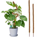 2本セット 園芸支柱 植物支柱 観葉支柱 つる性植物 観葉植物 サポート 誘引 支柱 ココナッツ支柱 農業用 園芸用