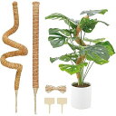 植物支柱 園芸支柱 64cm 花支え ココナッツ 観葉支柱 誘引 ガーデニング用支柱 つる性植物 延長可能 農業用 園芸用 植物サポートセット 2本セット
