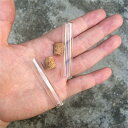 試験管ガラスのボトルコルク栓えきたい沙シール容器小薬瓶DIYガラスの瓶100個セット (4ml(12x60x10mm))(3)