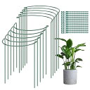 植物支柱 半円支柱 リング支柱 25x40cm 10本セット モンステラ 花支え ガーデニング用支柱 つる性植物 農業用 園芸用植物サポートセット