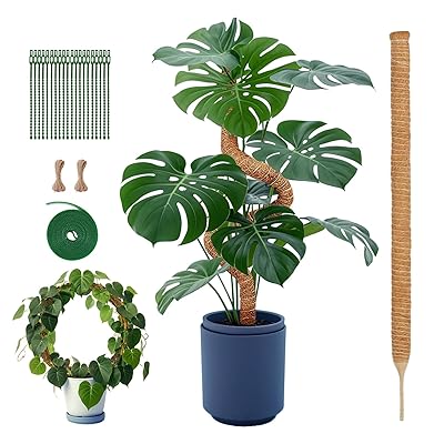 園芸 支柱 120cm モンステラ支柱 ココスティック DIY曲げる可能 観葉 つる性植物 植物 誘引 ガーデニング 農業用 園芸用