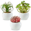 フェイクグリーン 観葉植物 フェイク 人工観葉植物 人工多肉植物 造花 光触媒 ミニ 鉢植え 3個 インテリア ミニ盆栽 フェイクグリーン 卓上 雑貨 小さい ギフト