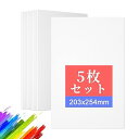 キャンバスボード キャンバス (203x254mm,5枚/セット)張りキャンバス キャンバス画材 画布 キャンバス絵画 矩形 厚手 パネル キャンバス 絵画ボー...