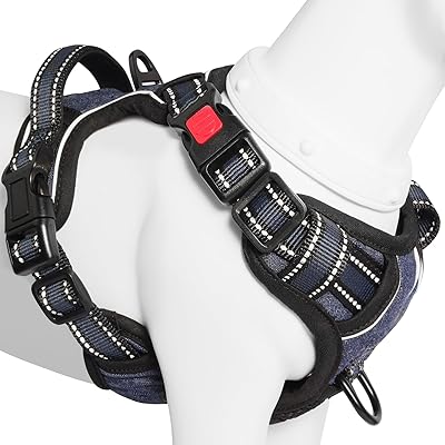 [2025ǿϡͥ] ƹ /淿/緿ϡͥ ƹ ĥɻ ޤ̤ ߷ڸ Ĵǽ ȿͺ ȴ...