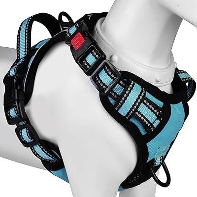 [2025ǿϡͥ] ƹ /淿/緿ϡͥ ƹ ĥɻ ޤ̤ ߷ڸ Ĵǽ ȿͺ ȴ...