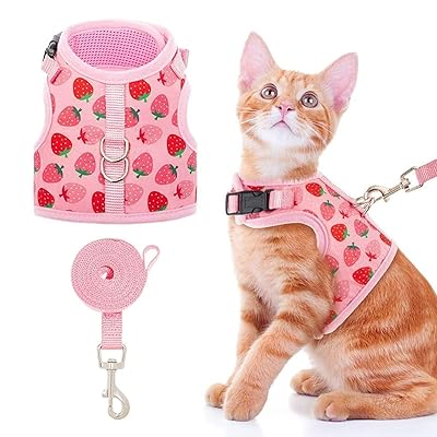 猫 ハーネス リード セット 猫用ハーネス 調節可能 胴輪 猫用品 ベスト 通気メッシュ 夜反射 軽量 簡単装着 散歩 お出かけ 抜けにくい 脱出防止 マジックテープ ダブルロック 子猫 ねこ ネコ（ピンクイチゴ, S）