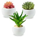 フェイクグリーン 観葉植物 フェイク 人工観葉植物 人工多肉植物 造花 光触媒 ミニ 鉢植え 3個 インテリア ミニ盆栽 フェイクグリーン 卓上 雑貨 小さい ギフト