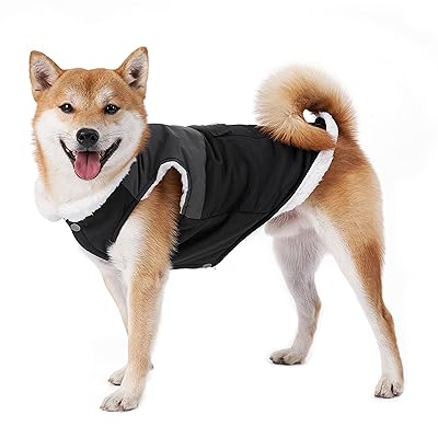    ѥ ɥå к ɴ㥸㥱å ݲ æñ Ȥ 餫 İ  淿 緿  (...