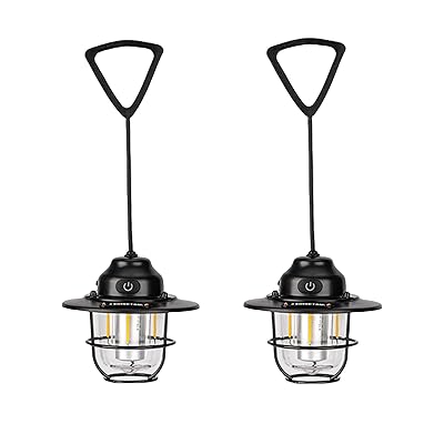 キャンプランタン 充電式 2個入り LED ランタン 高輝度 4色無段階調光 レトロ キ アウトドア ライト 小型 キャンプランタン吊り下げ 防水防塵 持ち運び便利 夜釣り 登山 防災グッズ 停電 緊急用ライト 非常用照明 ブラック
