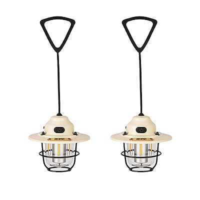 キャンプランタン 充電式 2個入り LED ランタン 高輝度 4色無段階調光 レトロ キ アウトドア ライト 小型 キャンプランタン吊り下げ 防水防塵 持ち運び便利 夜釣り 登山 防災グッズ 停電 緊急用ライト 非常用照明 ホワイト
