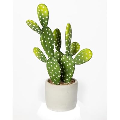 ե꡼ ƥꥢ꡼ ܥƥ 33CM ¿ʪ ͹ տʪ ե ¤ ռ  ñ养  ...