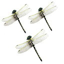 2024 虫除け オニヤンマ 1/2サイズ 6cm級 トンボ オニヤンマ 蜻蛉 安全ピン ストラップ クリップ付き 蚊よけ 昆虫が好きな おもちゃ 模型 帽子 リュック 畑作業 玄関 ベランダ ハイキング キャンプ 山登り 釣り ゴルフ ハエ 蜂よけ