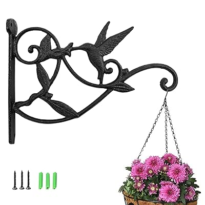 植物用ブラケット ハンガー アイアン ブラケットフック ハンギング 鳥 鋳鉄 プランターハンガー 鉢植え 園芸フック 庭用 御洒落 ブラック 吊り下げ ガーデン...