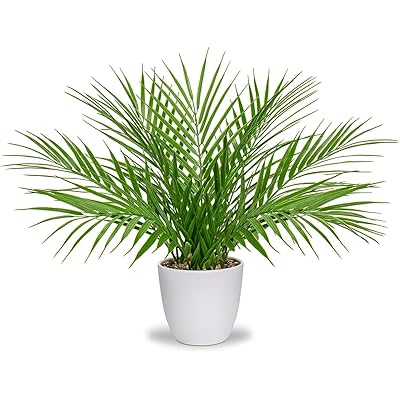 ե꡼ ƥꥢ꡼ 䥷 ͹ տʪ ե ۽ˤ Źˤ ǯ