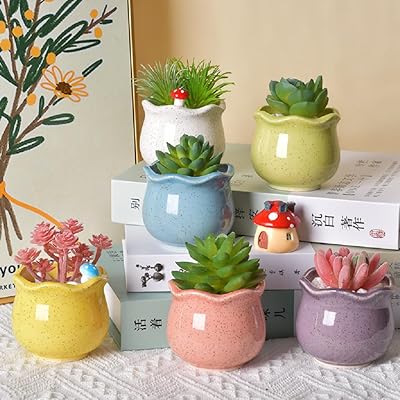 かわいい 植木鉢 6個セット おしゃれ 多肉植物鉢 マカロンカラー セラミックス製 プランター