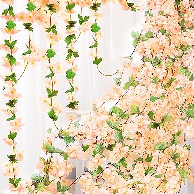 ¤ ƣ β ߤ뤹 ɳݤ ͹  륯 6ĥå Ϥʤ ե ե