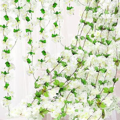 ¤ ƣ β ߤ뤹 ɳݤ ͹  륯 6ĥå Ϥʤ ե ե