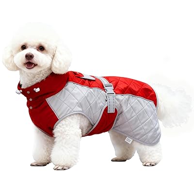 �����ɴ������� ���ѥ����󥿡����㥱�å� �ե꡼���饤�˥��ݲ� ������������С�����