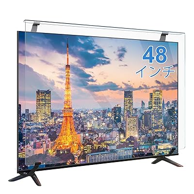 �ƥ���ݸ�ѥͥ� 48����� �ƥ�ӥ��С� ������� �վ�TV�ݸ�ѥͥ� TV�ݸ�ץ��ƥ����� 48��