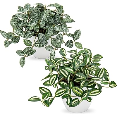 フェイクグリーン インテリア グリーン ペペロミア 人工観葉植物 卓上 鉢植え 造花 エアプラ