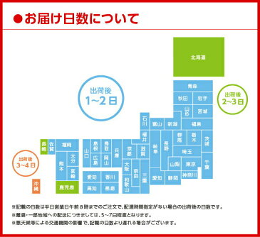 【送料無料】【2ケースセット】太陽のマテ茶情熱ティーバッグ (2.3gティーバック10個入り) コカコーラ〔コカ・コーラ社〕