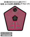 フットエクサペンタゴン EMS 男女兼用 20分オートトレーニング 10段階レベル調節 足裏 ふくらはぎ すね 美脚筋肉