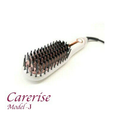 饤 ǥJ carerise Model-J