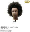 縮毛矯正用 トレーニングマネキン アフロヘアー人毛100% 縮毛矯正 基礎練習 ウィッグ アフロ 美容用品 サロン専売品 練習 練習用 ウィッグ