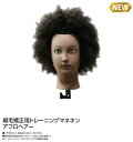 縮毛矯正用 トレーニングマネキン アフロヘアー人毛100％ 縮毛矯正 基礎練習 ウィッグ アフロ 美容用品 サロン専売品 練習 練習用 ウィッグ