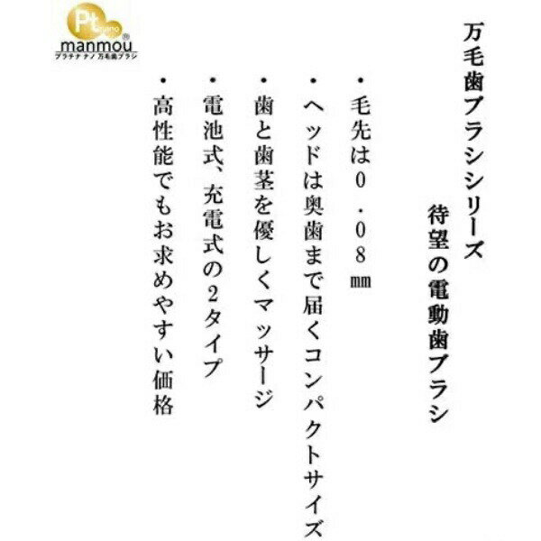 ジェットクリーン ポータブル 歯ブラシ 抗菌 口臭 臭い ハブラシ 歯みがき粉いらな...