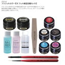 プリジェル カラーEX ジェル検定初級セット3 (PREGEL JNA JNA検定 ジェルネイル 検定初級 おすすめ セット)