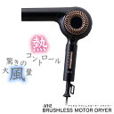 ӥ ֥饷쥹⡼ ɥ饤䡼 BD-23D08 AIVIL BRUSHLESS MOTOR DRYER (® Ǯȥ ...