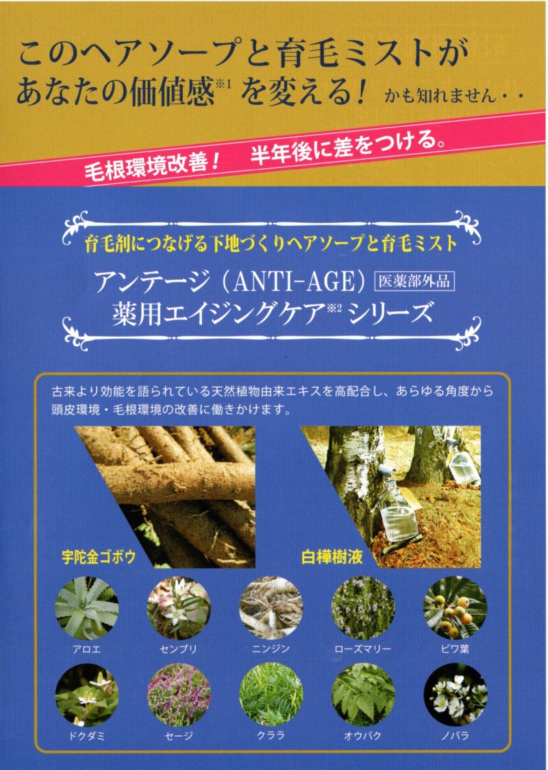 育毛剤 アンテージ 薬用エイジングケア スキャルプ＆ヘアミスト 200ml (発毛促進 脱毛予防 薄毛に効果 育毛ミスト) nextmn-10007306 Next Field サンプル画像2