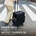 アーティストキャリアー SE アイビル(出張サロン コスメケース コスメボックス キャリーバッグ 講習 訪問美容 収納 プロ コンパクト BAG バッグ)