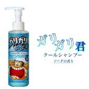 ガリガリ君 クールシャンプー 200ml×2本セット (ひんやり 夏 クール ソーダ アイス 子供 キッズ)