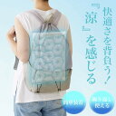 日本製 クール ドライ 背もたれパッド 洗える パッド 35×60cm 汗取パッド 汗取パット ひんやり 冷たい カバー メッシュ生地 パット 夏用 接触冷感 ...