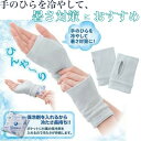 手を冷やす ひんやりクーラー ライトグレー セルヴァン 1双 熱中症対策 暑さ対策 保冷剤付き 就寝時 ジョギング ウォーキング おやすみ ひんやり 冷却 冷やす 野球 アウトドア マラソン グッズ